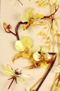 Фото - Картина из натурального янтаря "Орхидея"